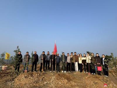 马坪镇中心小学开展教师植树活动  