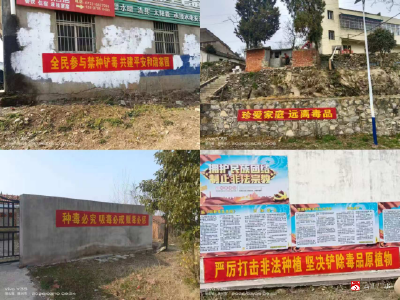 余店镇：深入开展禁种铲毒宣传工作