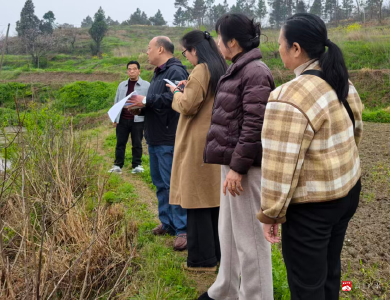十里财政所联合农业部门开展复耕复垦地块核查工作