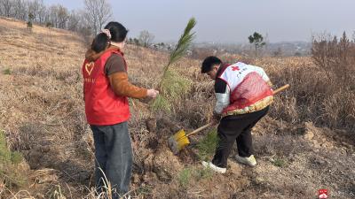 城郊街道红十字会：践行人道精神 共筑绿色屏障