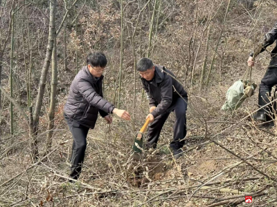 植绿添新景   青春践初心