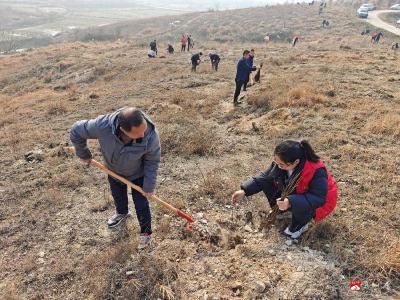 春风催新绿植树正当时——太平镇开展义务植树活动