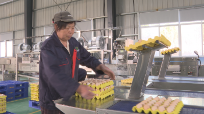 广水：孵化“一枚蛋”  延伸“致富链”