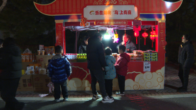 赏花灯品元宵看车展 广水元宵灯会点燃消费新活力