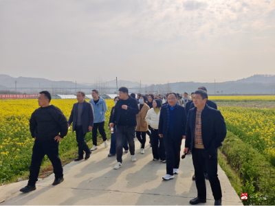 广水市春季田管现场会观摩武胜关镇油菜种植工作