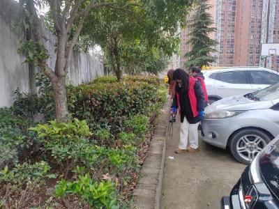 一抹“志愿红” 守护“家园绿”：应山街道八一社区开展节后清洁行动温暖启航