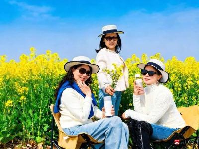十里街道万亩油菜花海铺展春日美丽画卷
