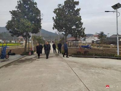 随州市、广水市财政局联合调研指导蔡河镇美丽乡村建设
