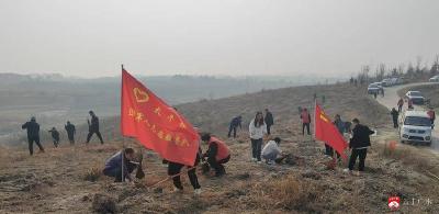老兵植绿践初心 生态太平添新颜