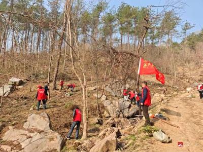 中华山林场：春来添新绿，植树正当时
