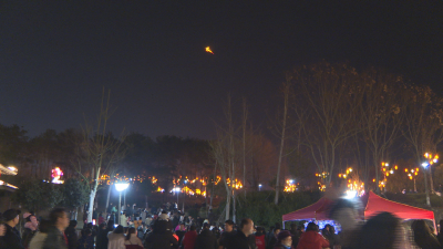 广水：火凤展翅映明月   科技流光闹元宵