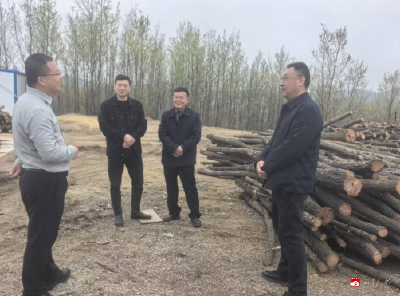 市林业局开展栎木资源保护和利用调研活动