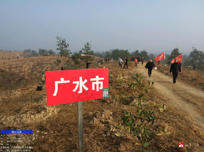  广水市开展2026年义务植树活动