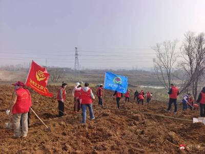 “植”入春光 “树”写希望 广水公益组织走进南站社区植树添绿