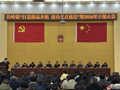 长岭镇召开打造精品乡镇 建功支点建设大会