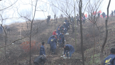 广水市工商联组织开展义务植树暨红色教育活动