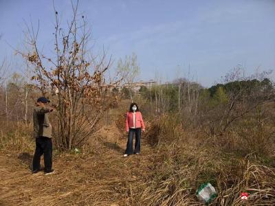 东关社区：筑牢清明“防火墙” 守护生态安全