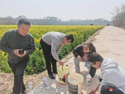 杨寨镇：农技赋能“一促四防” 护航油菜增产增收