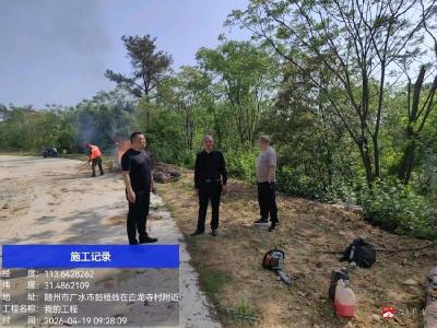 不走山路走“天路”——广水启用无人机吊运松材线虫病疫木