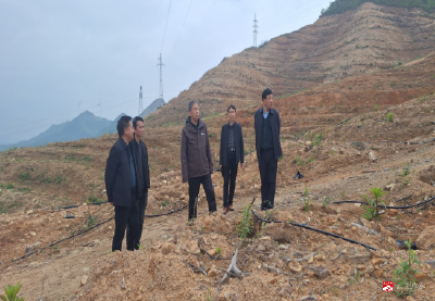 省林业局赴广水市开展2026年林木种苗质量抽检工作