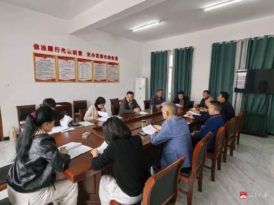 杨寨镇人大代表开展“聚力支点建设·代表行动”主题活动