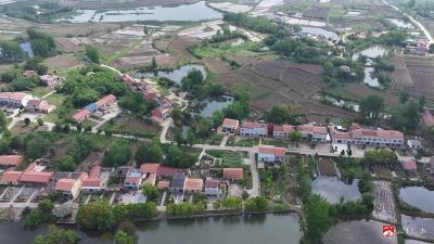 陈巷镇唐氏祠村：一树“四月雪” 激活一村振兴路