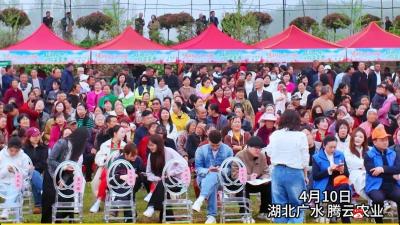 赏花、品羹、看表演、尝美食 广水市"詹王故里 广水厨嫂"杜鹃花开菜羹香活动启幕