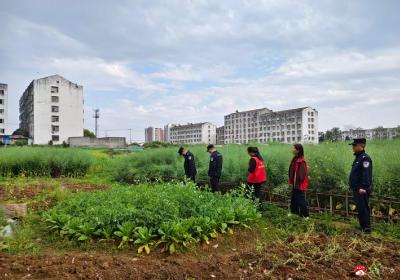 城郊街道开展禁种铲毒踏查行动