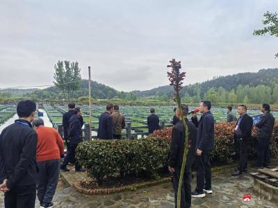 建功支点显担当 履职尽责促发展——郝店镇人大代表开展"建功支点建设·代表行动"调研活动