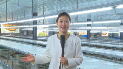 全球订单来袭  飞凌体育提前进入“世界杯时间”