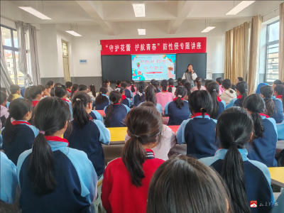 长岭镇中心小学：守护花蕾 护航青春