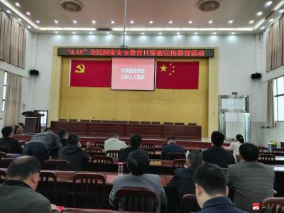 长岭镇：全民国家安全教育日宣传活动走深走实