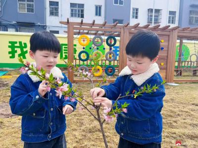 春启童心，趣探自然