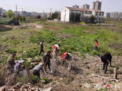 应山街道红石坡社区：党建引领齐聚力 清洁家园焕新颜