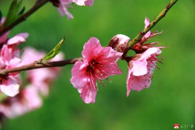 广水市一医院专家提醒：马上换春装  你的体重管理了吗？