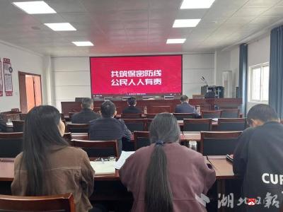 广水市退役军人事务局组织开展践行总体国家安全观活动