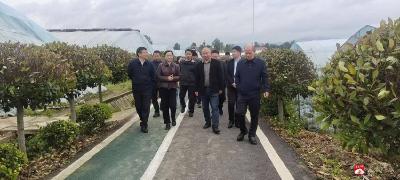 实地调研谋发展 财政助力兴产业 推动乡村产业提质增收