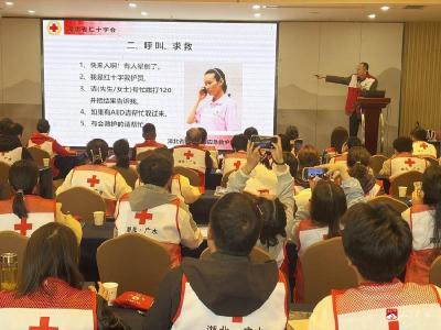 提升急救技能 守护机关安全——广水市红十字会开展2期市直机关干部应急救护培训