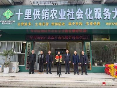 广水市供销社举行农业社会化服务授机仪式