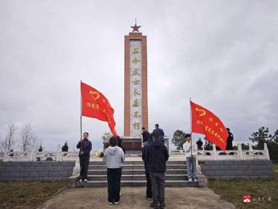 缅怀先烈铸忠魂 青春担当启新程 —— 陈巷镇年轻干部开展清明祭奠烈士塔活动