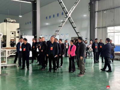 聚力支点建设 履职助力发展 —— 蔡河镇人大开展“聚力支点建设・代表行动”视察调研