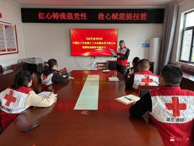 红心铸魂强党性 救心赋能提技能  ——广水市红十字救护师资开展“三心”生命教育内训活动
