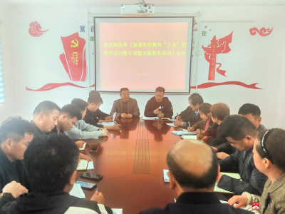 规范“三资”管理 赋能乡村振兴