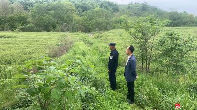 余店镇：深化禁种铲毒斗争 筑牢无毒社会防线