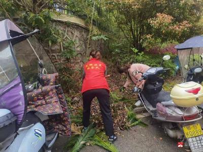 双桥社区：改善人居环境 普及健康理念