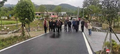 省、市、县三级财政部门联动调研 共促蔡河镇徐店村美丽乡村建设提质增效