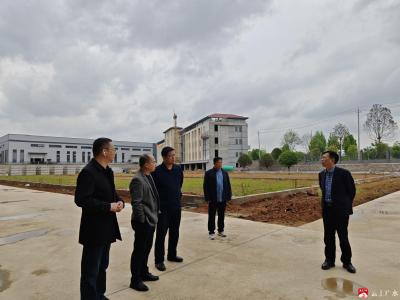 开发区人大代表：聚焦企业关切 赋能高质量发展