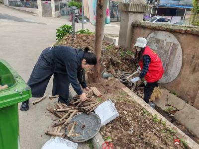 南关社区组织开展爱国卫生月暨清洁家园行动