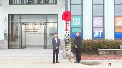郝店关店村香菇种植基地获授湖北品源公司"菇的辣克"优质供应基地  