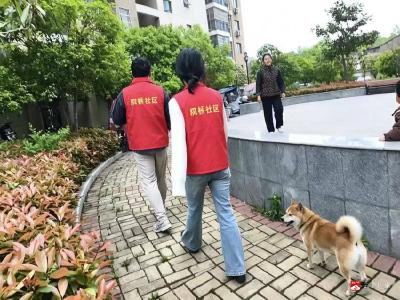 双桥社区开展“社工入户传温情 文明养犬护家园”宣传活动